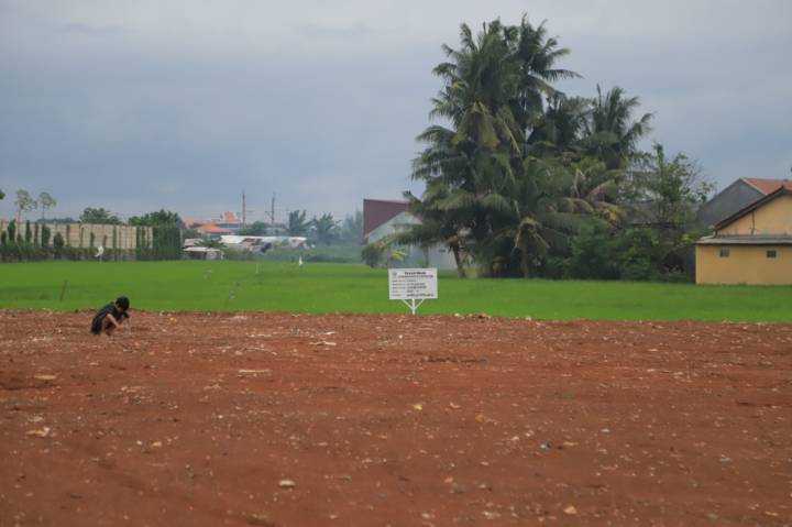 182c5b7ea99756bf182c5b7ea99756bf322a9b97-715f-4782-b7f4-5d159d91dfc3