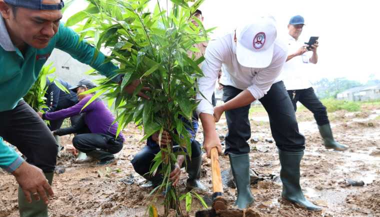 8ed439677aff78c68ed439677aff78c664ecdde9-136b-495c-9924-3435f482ed31