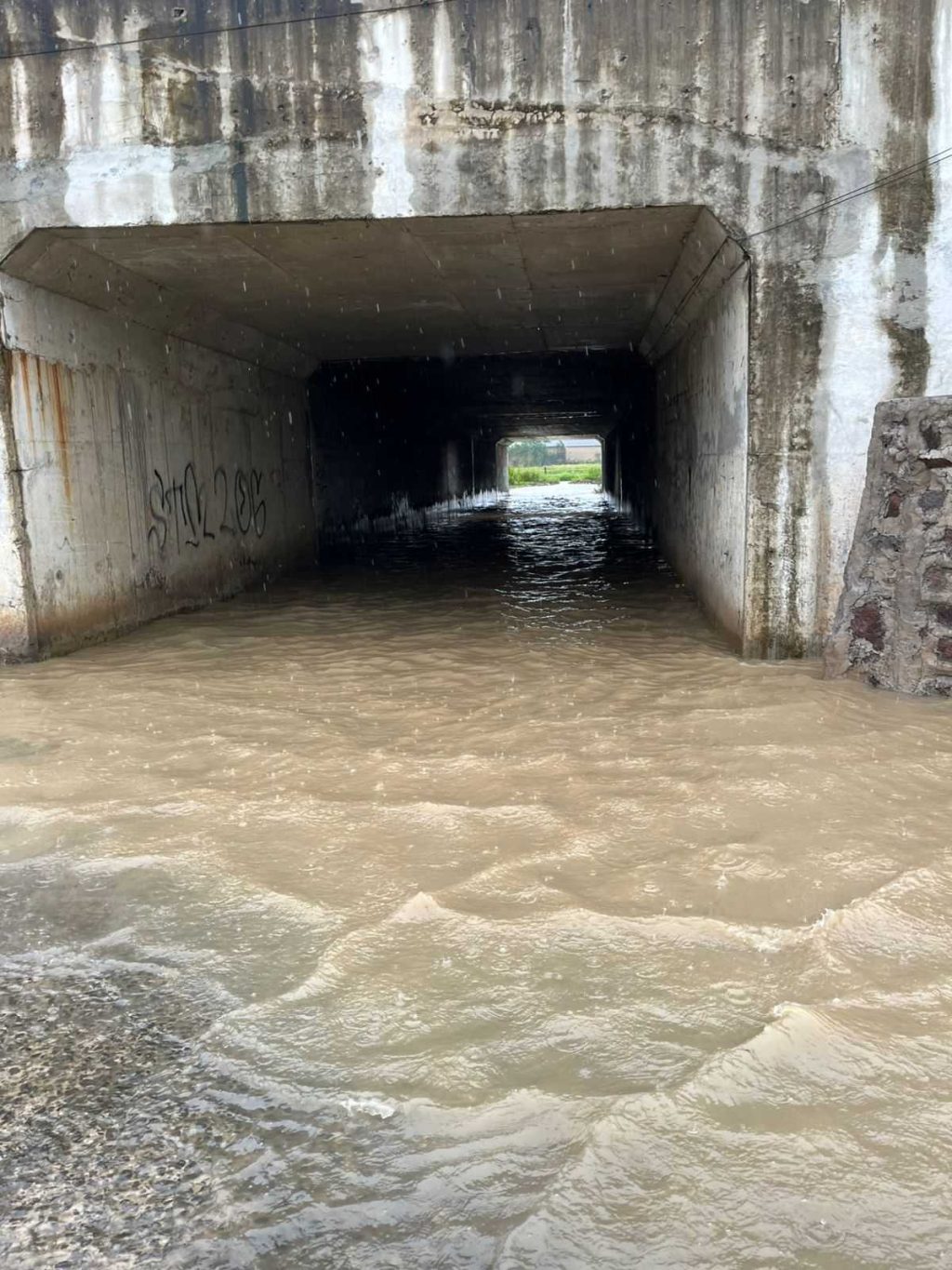 f0650567f76e2ee2f0650567f76e2ee20925a0fe-ad92-4edb-9184-56912f2ade8c