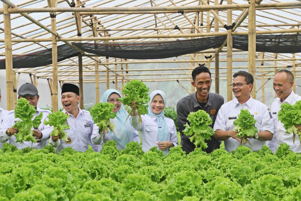 98db0d8b60cacdac98db0d8b60cacdaca818c0f8-b45d-4c0f-a76c-cca7b2b20505