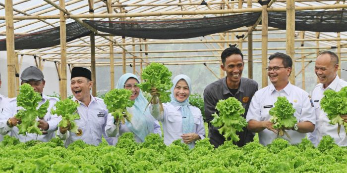 98db0d8b60cacdac98db0d8b60cacdaca818c0f8-b45d-4c0f-a76c-cca7b2b20505