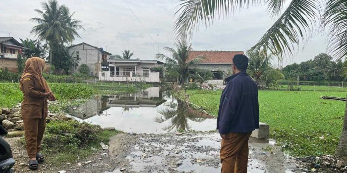 adb12582cbc4b527adb12582cbc4b52724ecf241-d6ba-449a-bf99-24566ad60c74