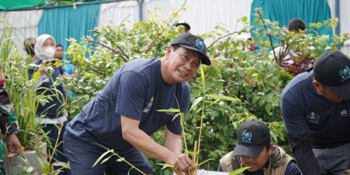 ebe5fb2af716b8bdebe5fb2af716b8bd44351a96-3528-40de-a0e2-87178260fbf7