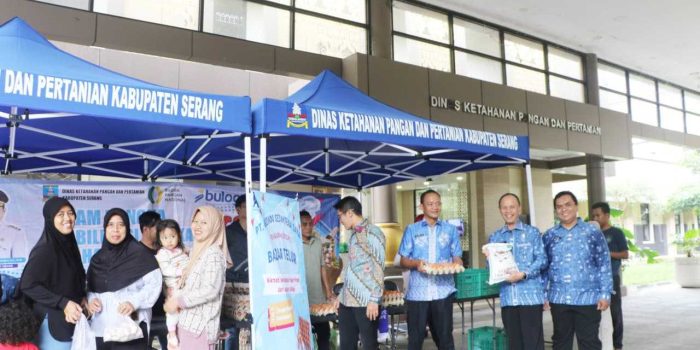 9d10085a872e1c969d10085a872e1c96db9c11cd-4653-468b-a99e-06496ac8bd80