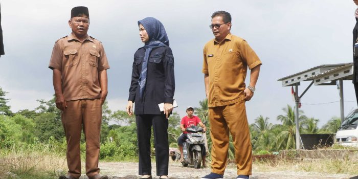 ecc3fc3672a31a06ecc3fc3672a31a0673154ffe-73dc-4a74-85a5-0b3c154884bb