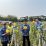 Batusari Panen Melon Golden, DKP Tangerang Kejar Target Swasembada Pangan 2026