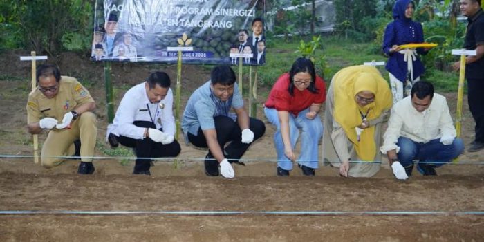 berita-638f1f39-4508-4464-b50a-0614af6f3864