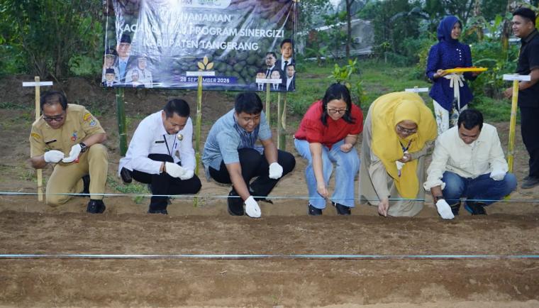 berita-638f1f39-4508-4464-b50a-0614af6f3864