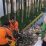 DLH Kota Tangerang Bersihkan Taman Embung Batusari, Jaga Fungsi Ekologis dan Kenyamanan Warga